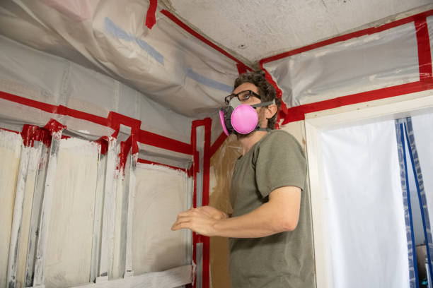 Reliable Lakeville, MN Mold Removal Solutions