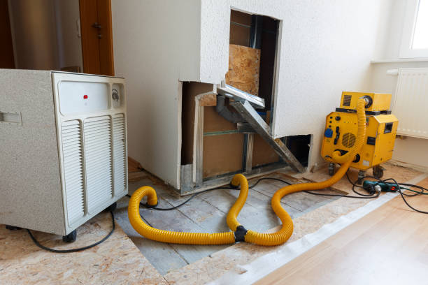 Best Asbestos and Lead Testing During Mold Inspection  in Lakeville, MN